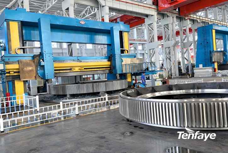 Cast-Steel-Gear-Rings-Tenfaye